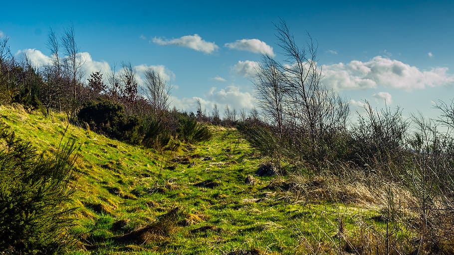 dinnington, united kingdom, clouds, path, nature, green, england HD wallpaper