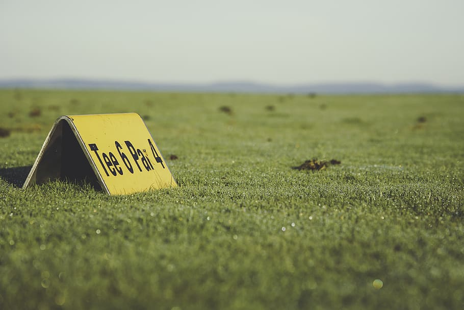 Tee 6 Pai 4, field, gold course, grass, green, ground, meadow HD wallpaper