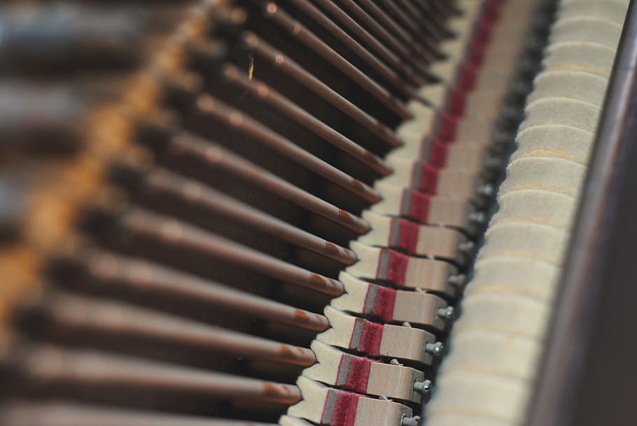 close-up, no people, selective focus, in a row, music, indoors HD wallpaper