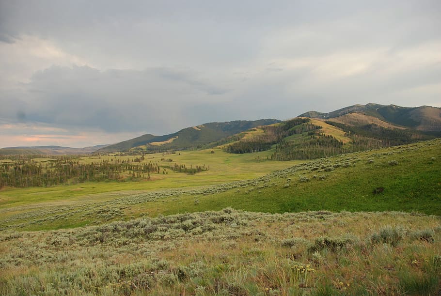 HD   Yellowstone Np Scenics Nature Landscape Environment   Yellowstone Np 