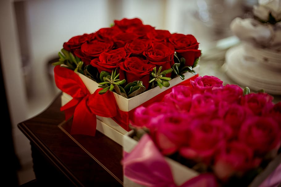box, red, roses, romantic, love, flowers, woman, gift, present HD wallpaper