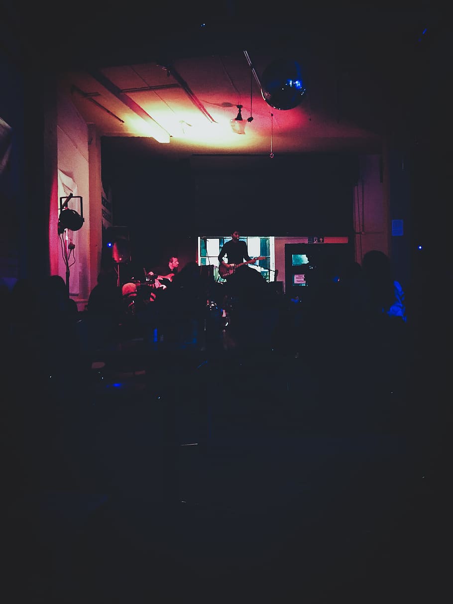 People in Bar, audience, band, crowd, dark, entertainment, gig HD wallpaper