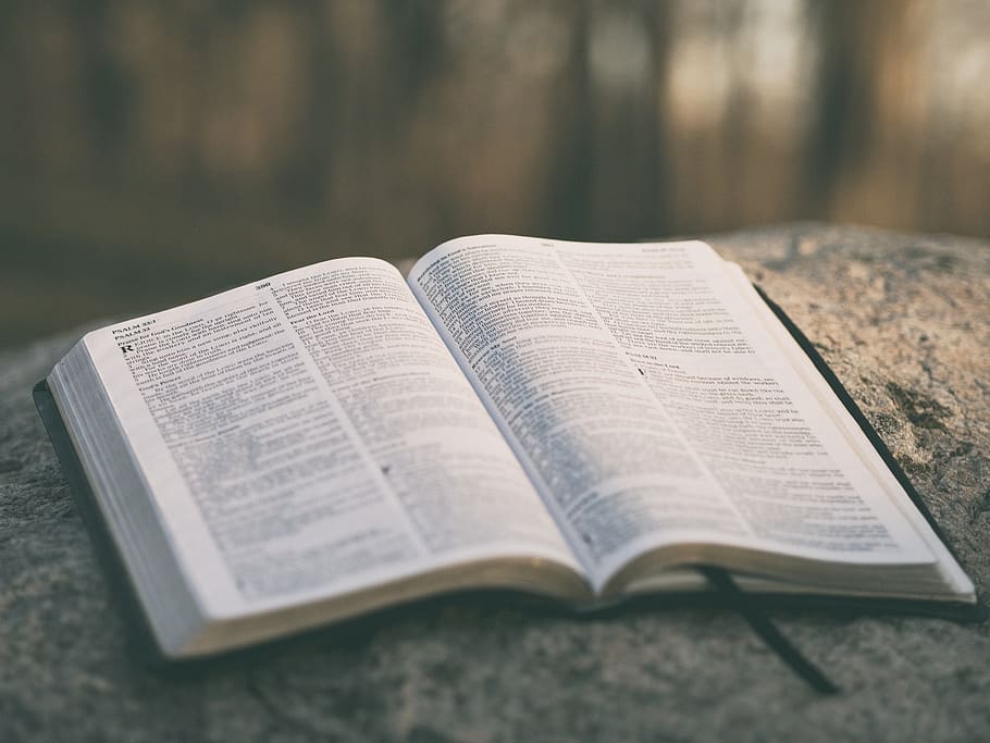 bible on table top, publication, book, religion, spirituality HD wallpaper