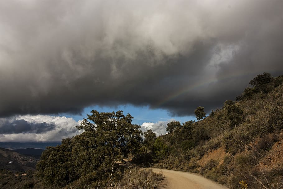 spain, cloud - sky, plant, tree, beauty in nature, scenics - nature HD wallpaper