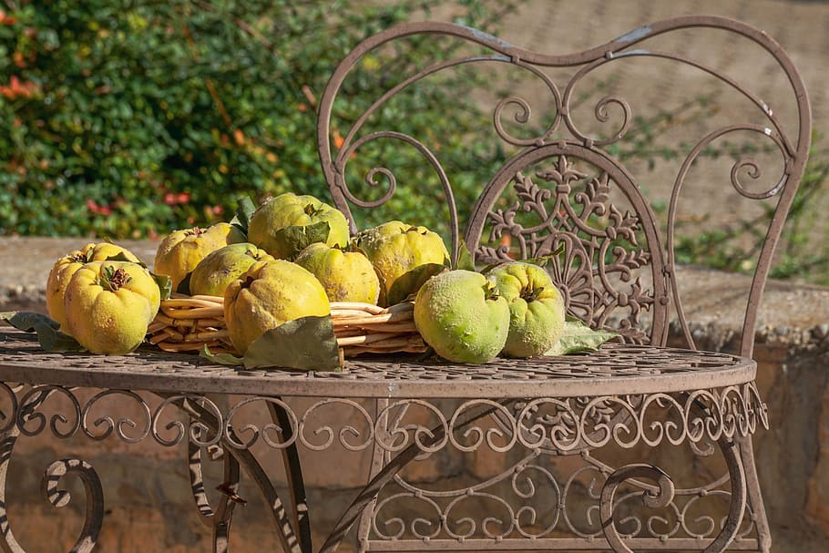 quince, still life, fruit, herbstimpression, tree fruit, pome fruit HD wallpaper