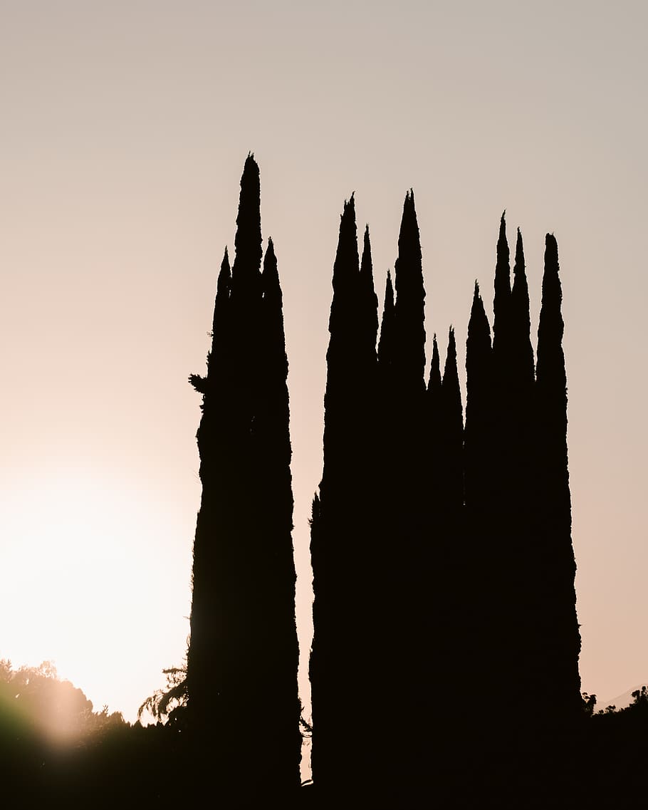 silhouette of spikes, tower, building, steeple, architecture, HD wallpaper