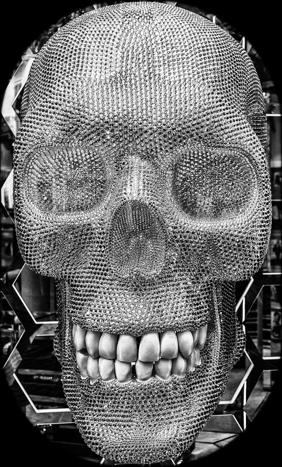 HD wallpaper: Grey Skull Frame Ornament, beautiful, black-and-white,  close-up | Wallpaper Flare
