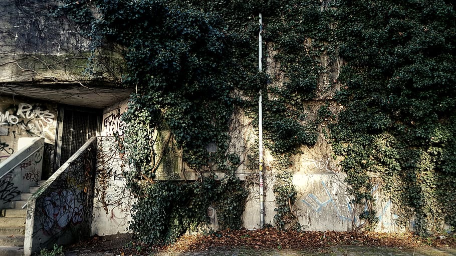 berlin, germany, bunker, vandalism, brutalism, ivy, climbing plants HD wallpaper