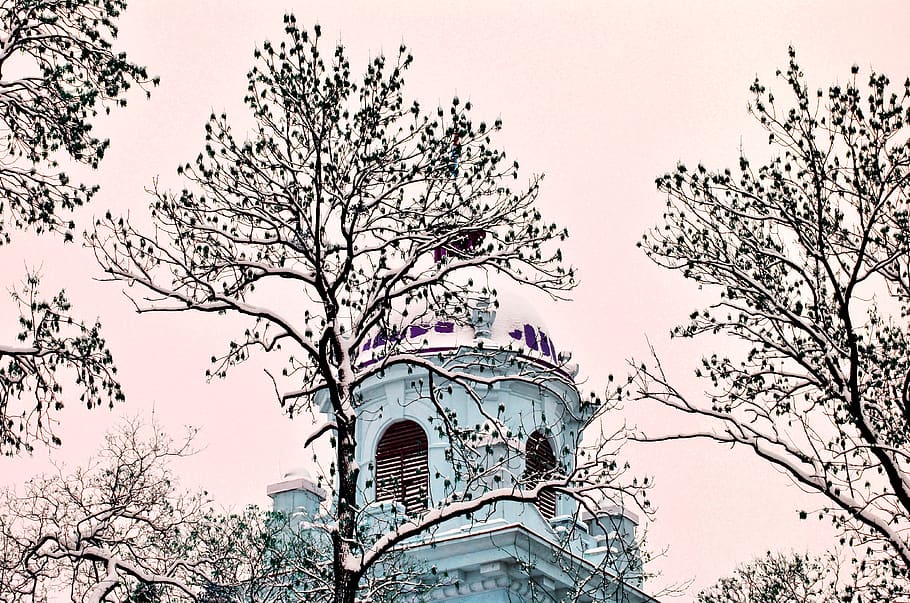leafless trees near white building, architecture, tower, spire HD wallpaper