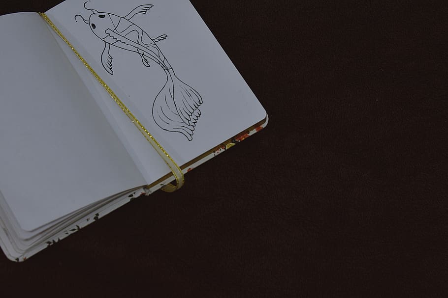 Opened Notebook on Black Surface, art, black background, book bindings HD wallpaper