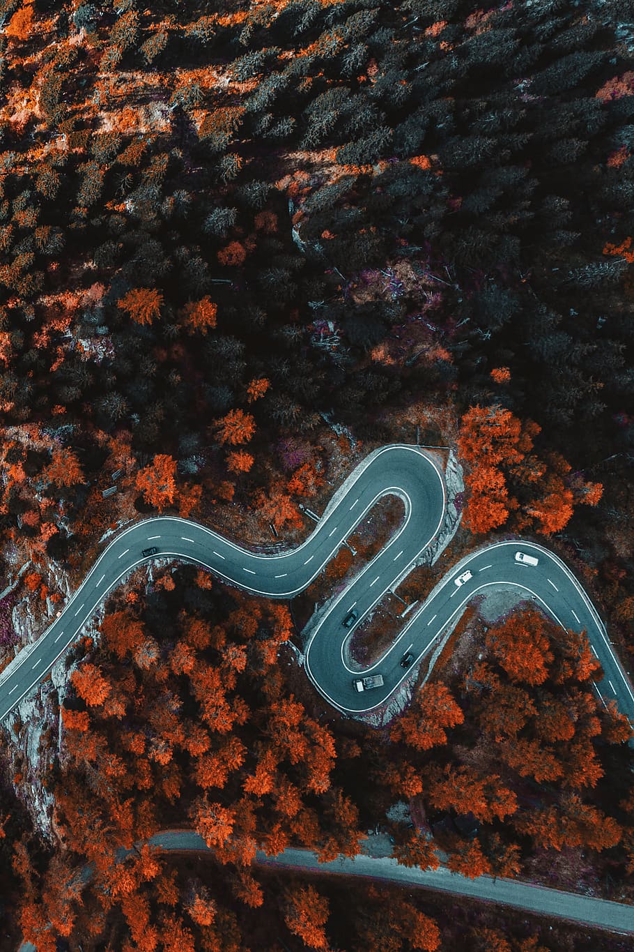 aerial photography of asphalt road surrounded with trees, drone view HD wallpaper