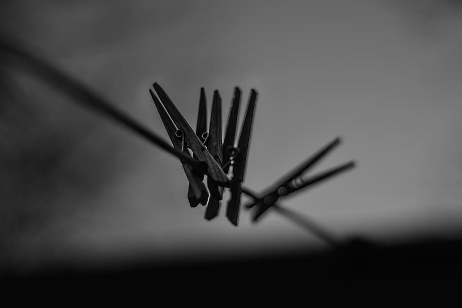 shallow focus of clothes clips, peg, laundry, black and white, HD wallpaper