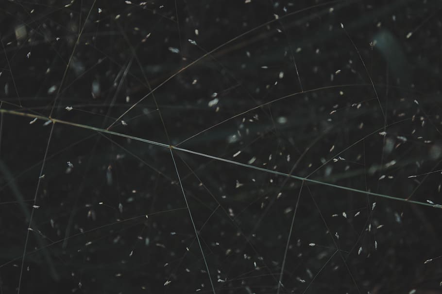 green leaf, astronomy, nature, space, universe, outer space, outdoors HD wallpaper