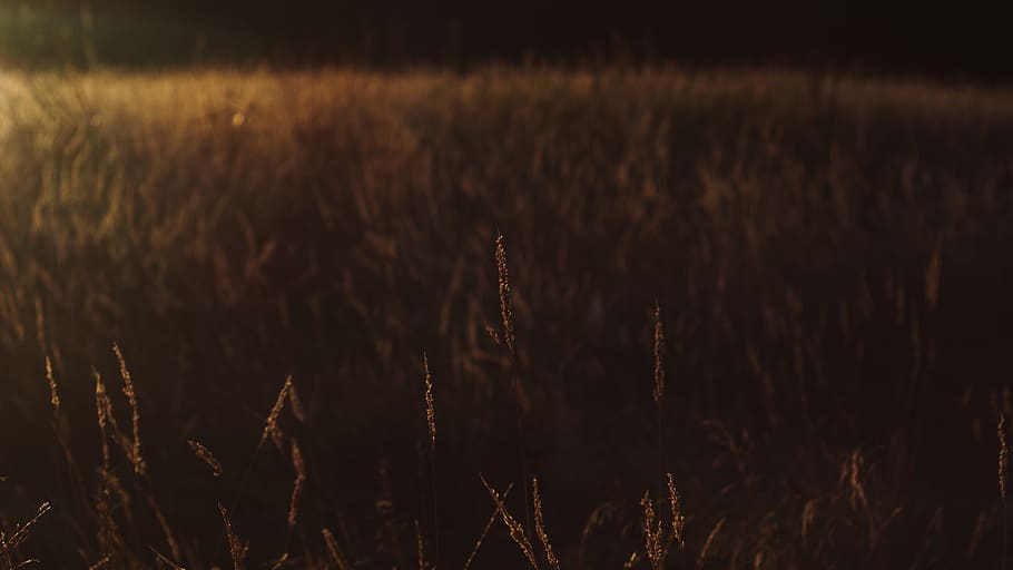 sunset, wall, wallpaper, nature, lanscape, grain, cinematic HD wallpaper