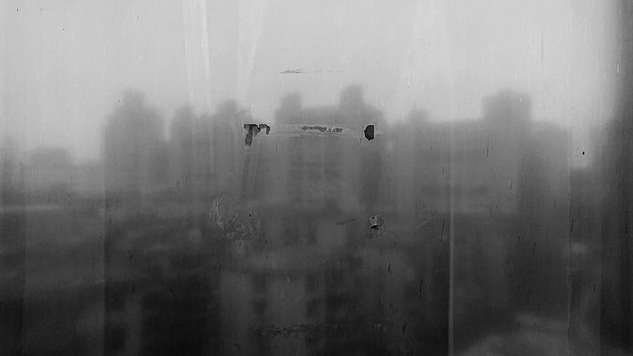 grey city skyline, nature, fog, smoke, animal, bird, light, traffic light HD wallpaper