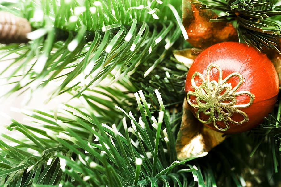 bauble, branch, bright, celebration, christmas, christmas-tree HD wallpaper