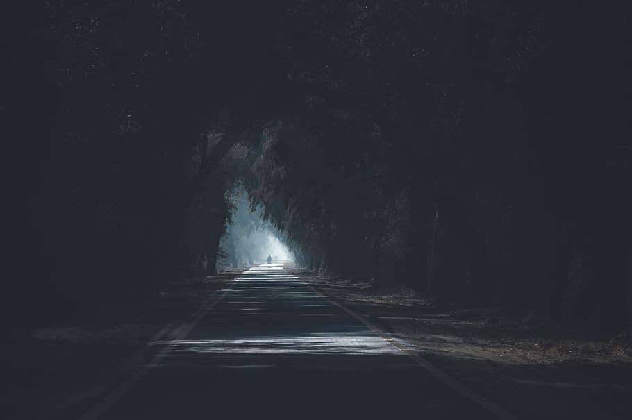 Concrete Road Surrounded by Trees, blur, dark, daylight, daytime HD wallpaper