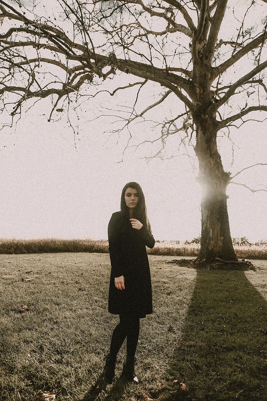 surreal, autumn, fall, october, creepy, spooky, tree, portraits HD wallpaper