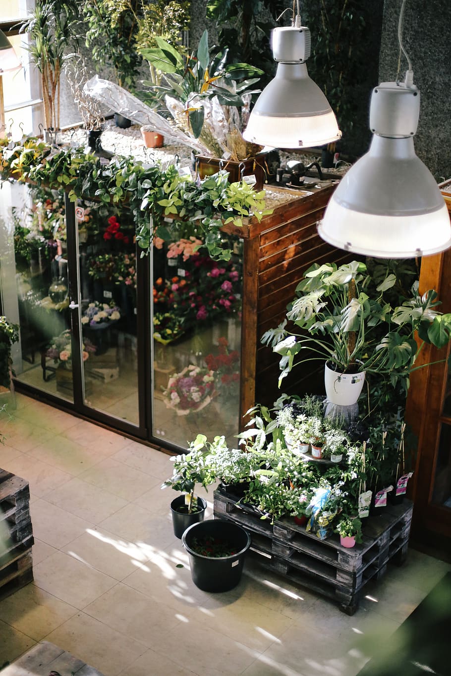 Gray Pendant Lamps, architecture, container, flora, flower arrangement, HD wallpaper