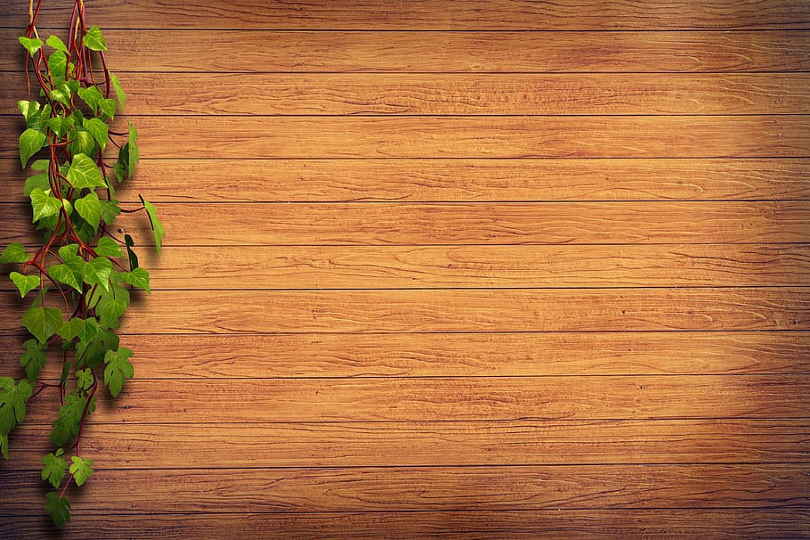 Brown Wooden Surface Beside Green Plant Illustration, HD wallpaper