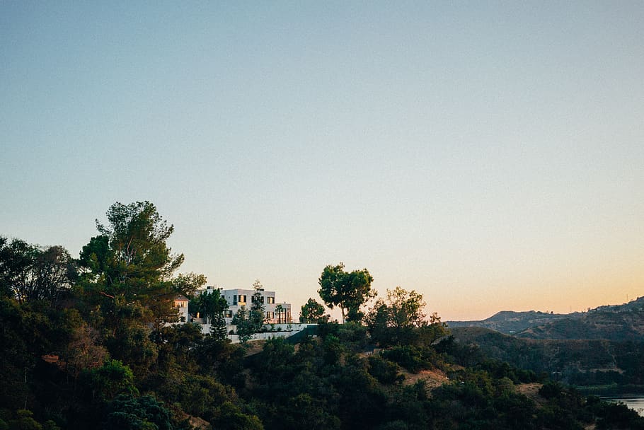united states, los angeles, hollywood sign, vista, trees, view, HD wallpaper