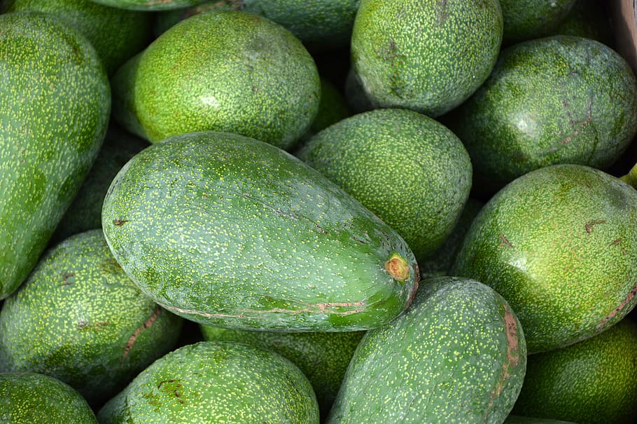 avocado, eat, fruit, berry, green, food and drink, healthy eating HD wallpaper