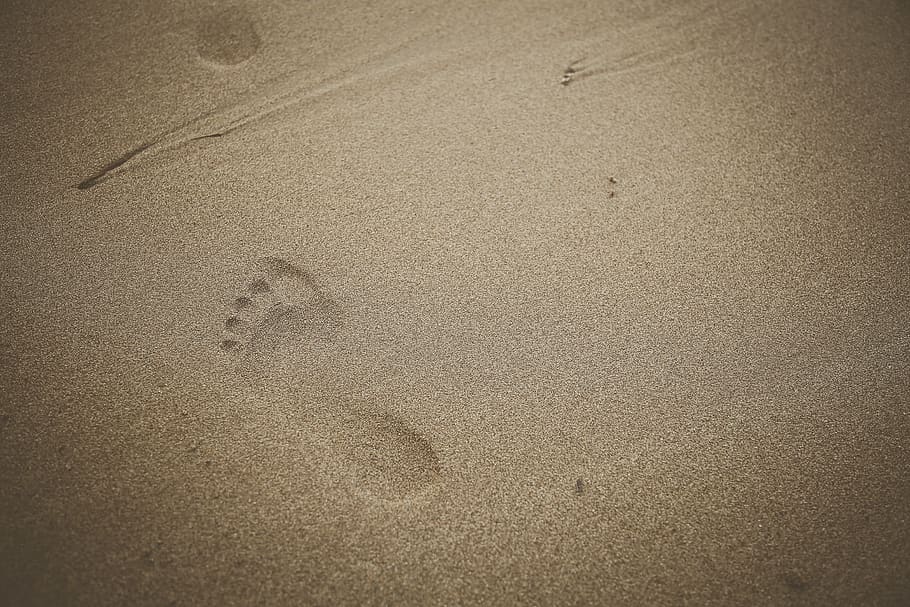 footprints on sand, beach, land, backgrounds, no people, nature HD wallpaper