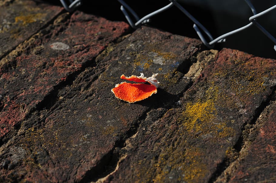 orange, peel, bricks, fence, wall, red, brown, sun, lights HD wallpaper