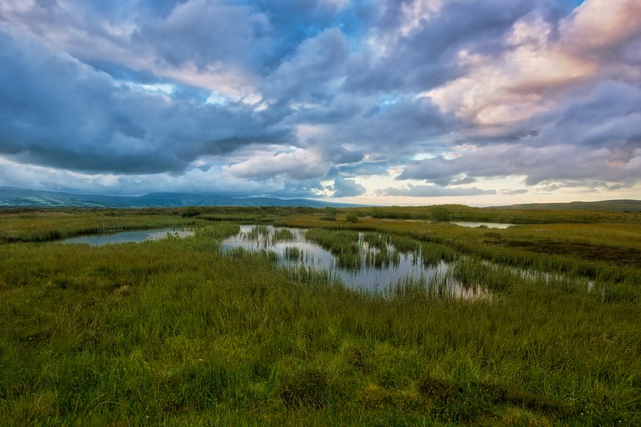 Grass Field and Cloud Formation, clouds, daylight, environment HD wallpaper