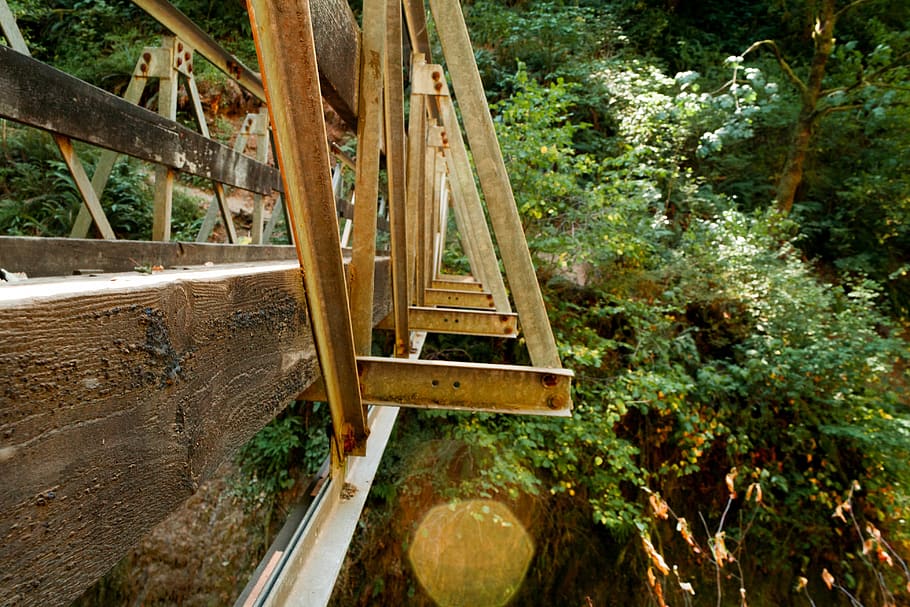 bridge, forest, tree, plant, wood - material, no people, nature HD wallpaper