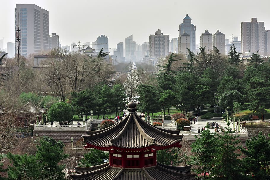 building, architecture, human, person, temple, metropolis, city HD wallpaper