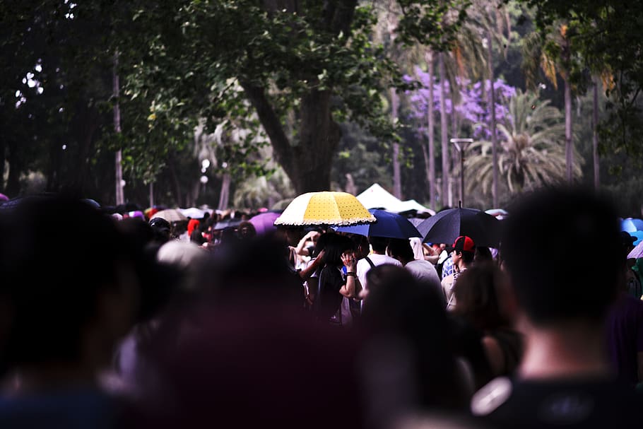 australia, sydney, hyde park, group of people, umbrella, tree HD wallpaper