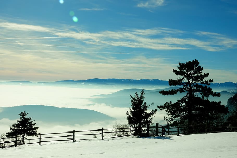nature, tree, landscape, panorama, fog, blue sky, winter, beauty in nature HD wallpaper