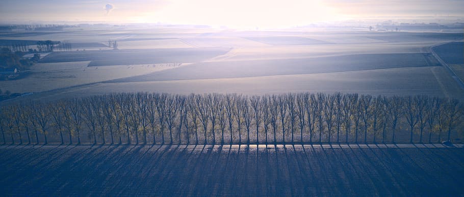 symetry, blue, mist, cloud, road, line, shadow, forst, belgium HD wallpaper