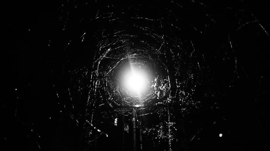 bw, autumn, branches, light, dark, night, illuminated, no people HD wallpaper