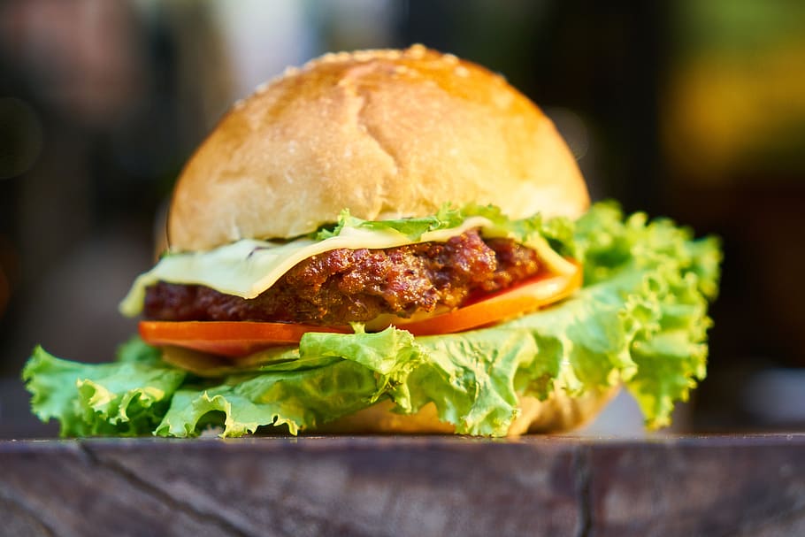 Burger Dish, blur, buns, close-up, delicious, fast food, focus HD wallpaper