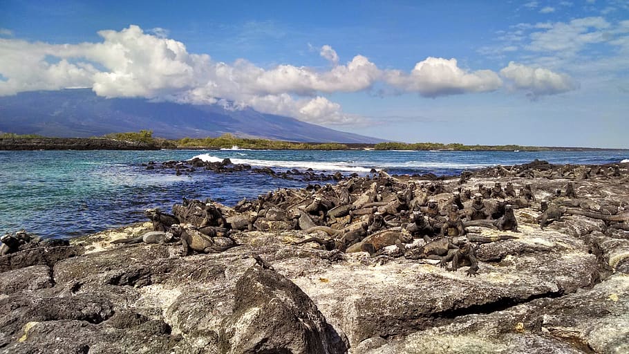 ecuador, galapagos islands, sea, water, sky, rock, rock - object HD wallpaper