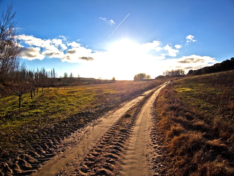 spain, soria, sky, sun, tree, path, cloud, landscape, direction HD wallpaper