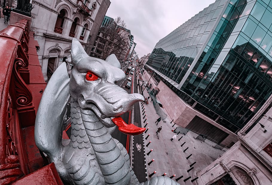 gray dragon statue near building during daytime, urban, town