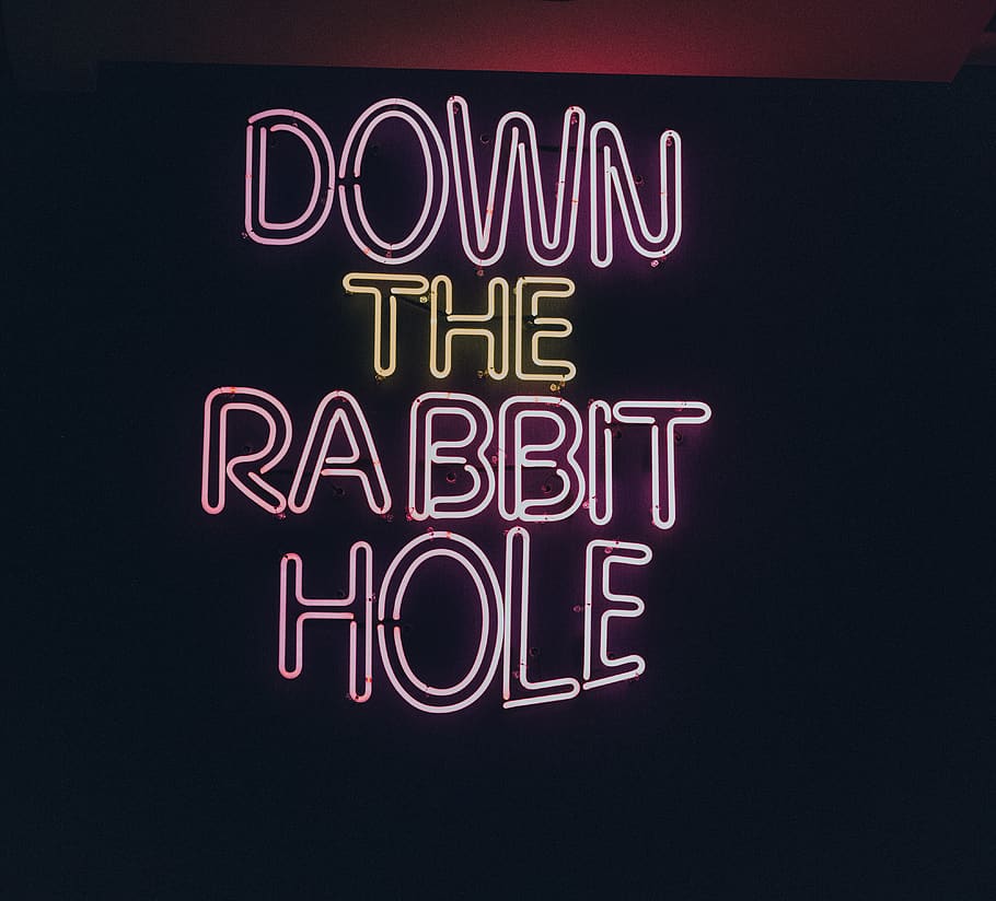 down the rabbit hole sign, neon, night, communication, text, illuminated HD wallpaper