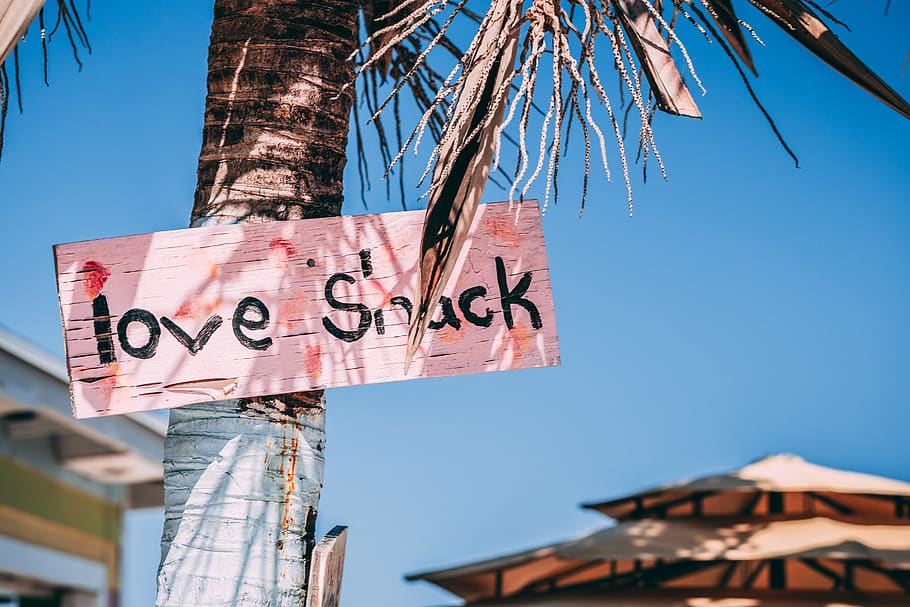 Pink Love Snack Signage on Coconut Tree, blue sky, bright, clear sky HD wallpaper
