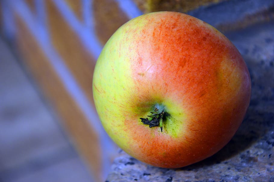 apple, fruit, pome fruit, kernobstgewaechs, eat, tasty, healthy HD wallpaper