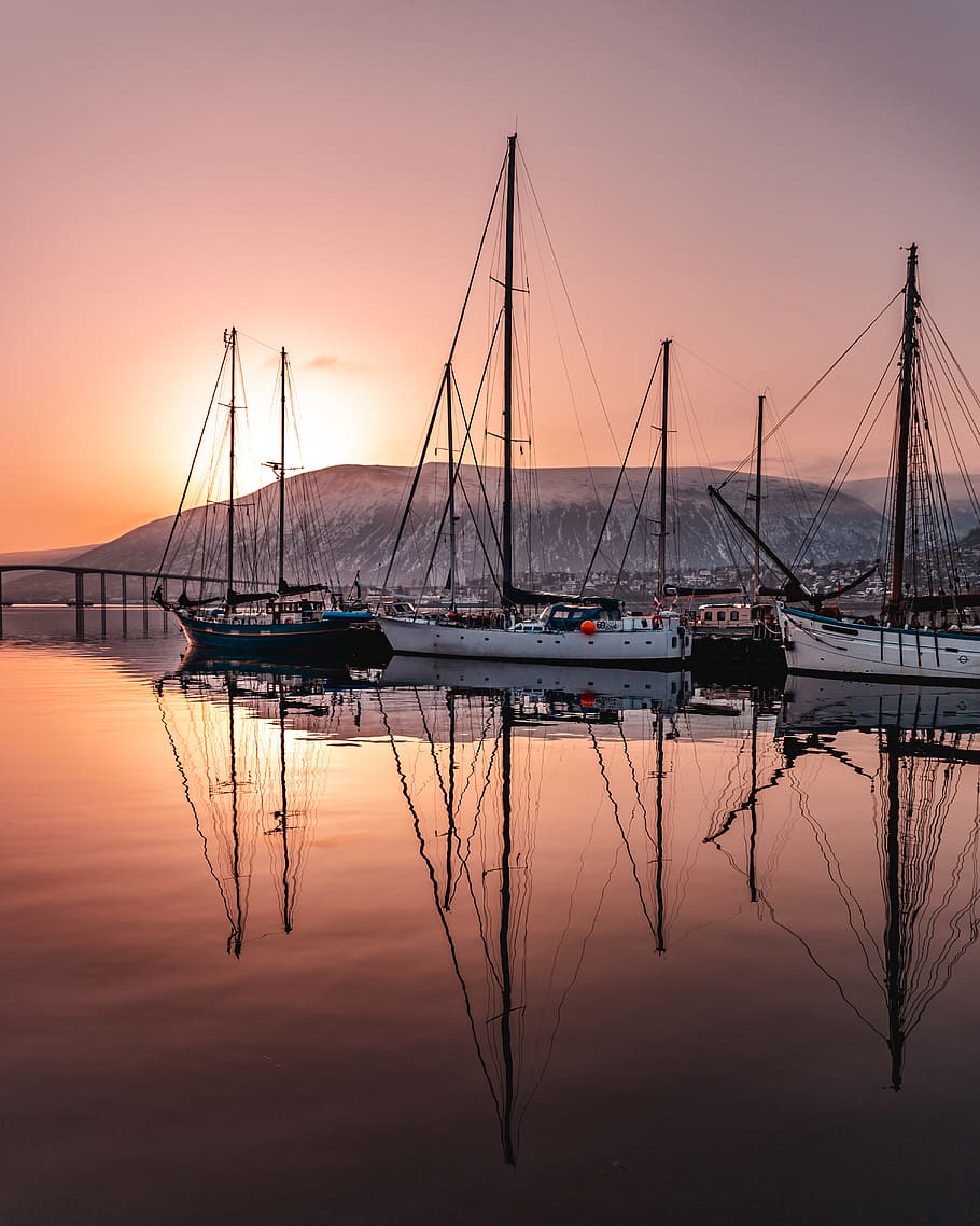 Boats Docked, dawn, dusk, harbor, marina, masts, ocean, pier HD wallpaper
