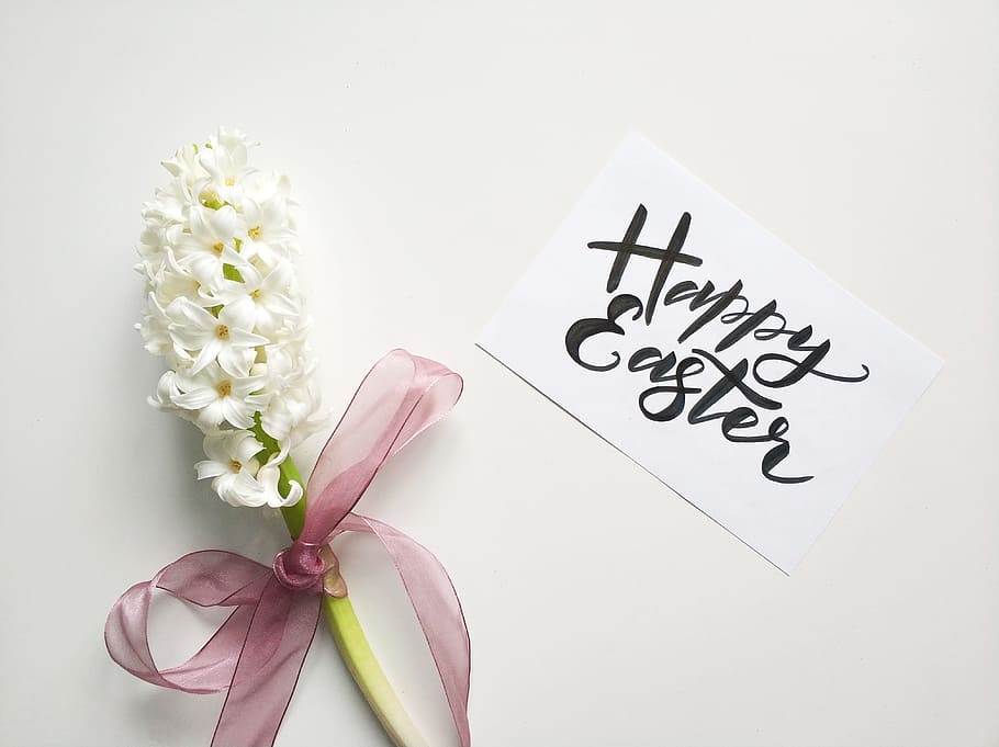 White Flowers, art, bloom, blooming, blossom, bright, card, close-up HD wallpaper