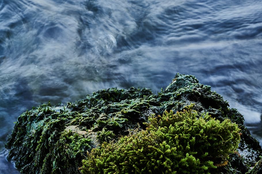 river, moss, stone, beauty in nature, sea, no people, scenics - nature HD wallpaper