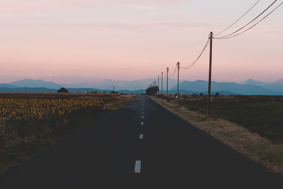 asphalt road near posts and mountains, street, sunset, sunrise HD wallpaper