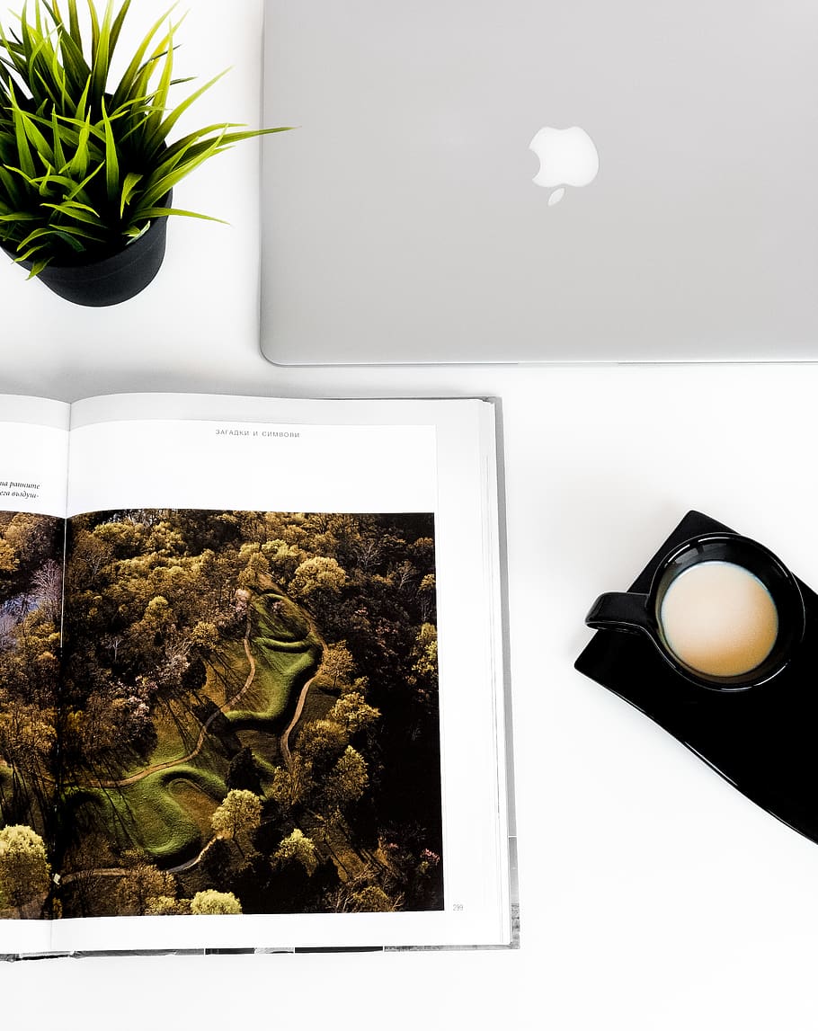 silver MacBook, plant, desk, office, setup, work, design, apple HD wallpaper