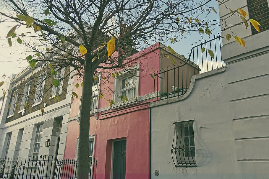 HD wallpaper: london, chelsea, united kingdom, fall, pink, nice, street, autumn - Wallpaper Flare