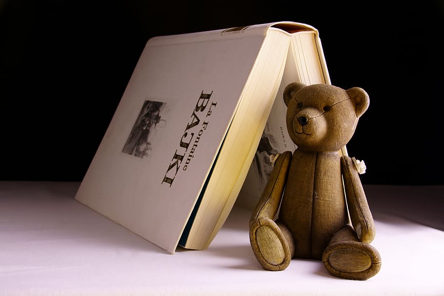 toy, book, bear, reading, education, a fairy tale, studio shot HD wallpaper