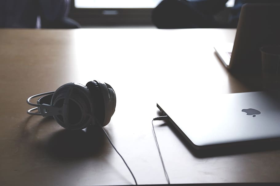 startup, start-up, notebooks, creative, computer, company, laptops HD wallpaper